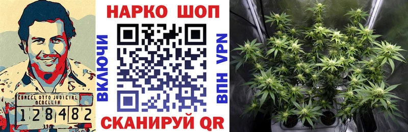 Где можно купить наркотики Курчатов гидра ONION  Галлюциногенные грибы  ГАШИШ  Кокаин  Канабис 