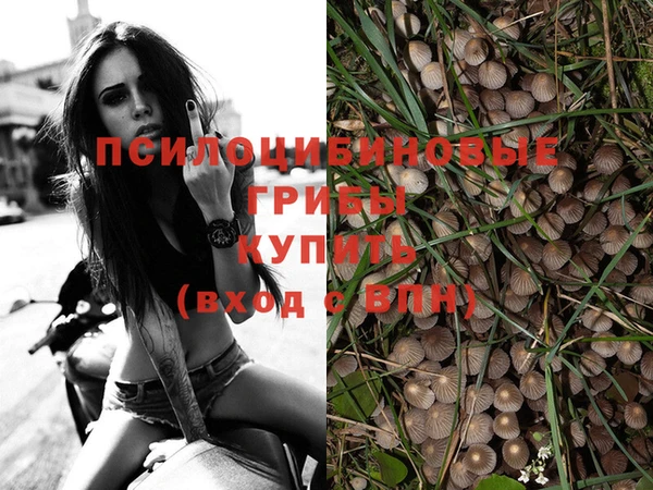 мескалин Тобольск