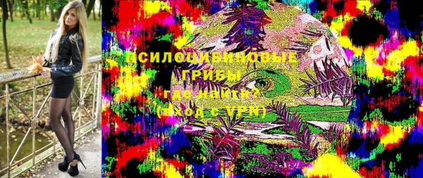 гашик Белоозёрский