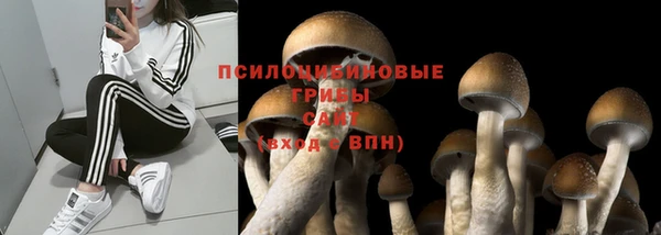 трава Балахна